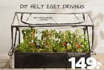 Netto Ukendt drivhus tilbud