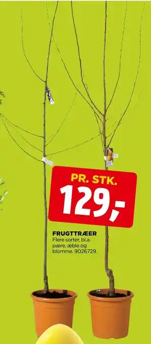 jem & fix Frugttræer tilbud