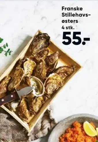 Franske Stillehavs østers