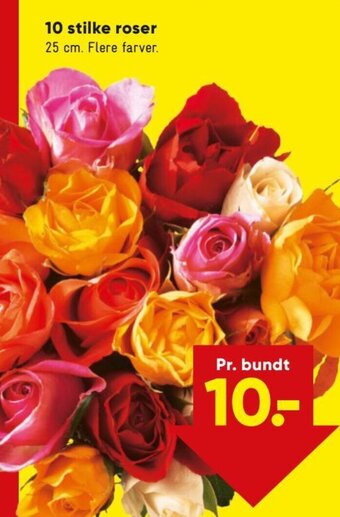 Bilka 10 Stilke Roser tilbud