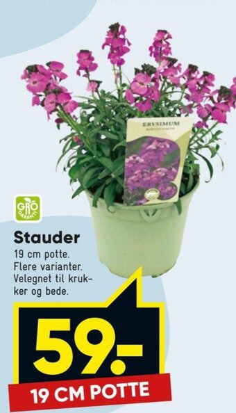 Bilka Stauder tilbud