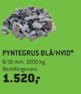 XL-BYG Pyntegrus Blå/Hvid tilbud