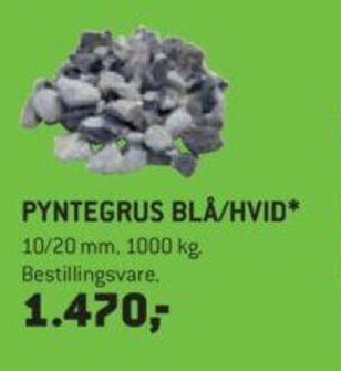 XL-BYG Pyntegrus Blå/Hvid tilbud