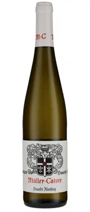 Haardt riesling 2019 pr.fl.v. 6 stk.
