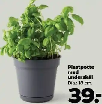 Netto Plastpotte m. underskål tilbud