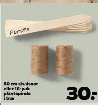 80cm sisalsnor el. 16-pak plantepinde i træ