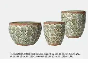 Terracotta potte
