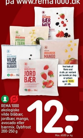 REMA 1000 Rema 1000 økologiske vilde blåbær, jordbær, mango, avocado eller bærmix tilbud