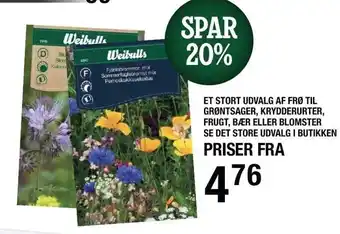 Spar 20% på et stort udvalg af frø til grøntsager, krydderurter, frugt, bær eller blomster