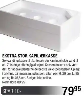 Ekstra stor kapilærkasse