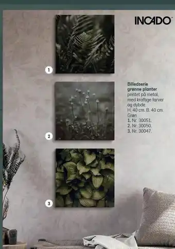 Daells Bolighus Billedserie grønne planter tilbud