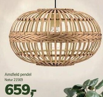 Amsfield pendel