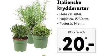 Italienske krydderurter