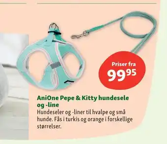 Anione pepe & kitty hundesele og -line