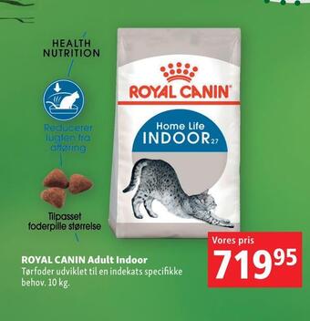 Maxi Zoo Royal canin adult indoor tilbud