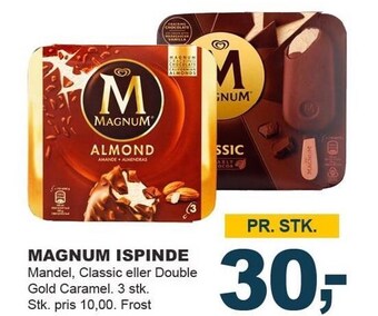 Magnum ispinde