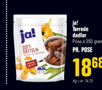 Poetzsch Padborg Ja! dadler tilbud