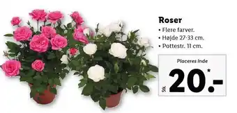 Lidl Roser tilbud