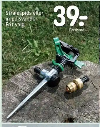 Strålespids eller impulsvander