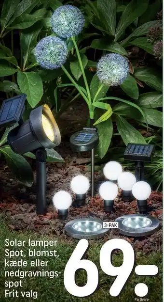 Solar lamper spot, blomst, kæde eller nedgravningsspot 3-pak
