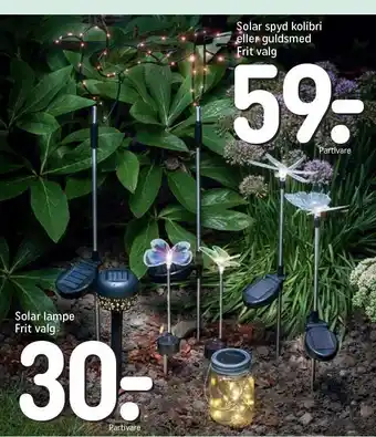 REMA 1000 Solar spyd kolibri eller guldsmed el. solar lampe tilbud
