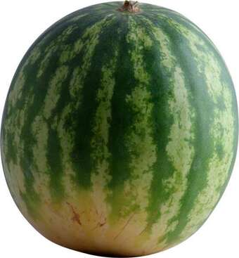 Rema 1000 Vandmelon, 1 ct tilbud