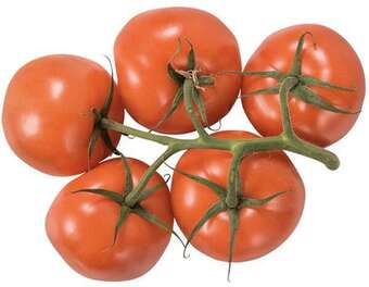 Rema 1000 Tomater vej selv, 0.5 kg tilbud