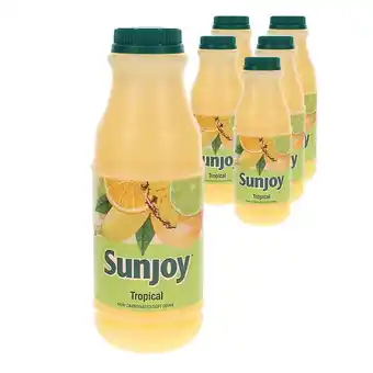 6-pak sunjoy tropical