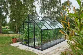 Halls drivhus universal 128 sort med fundament