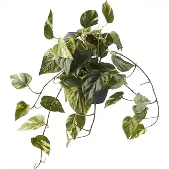 Ilva Guldranke tilbud