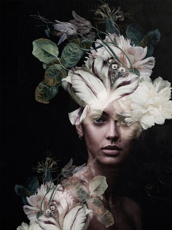 Ilva Forest fairy tilbud