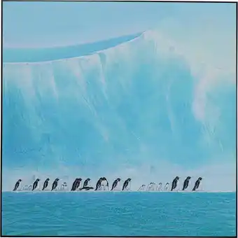 Kare Walking penguins, galleri tilbud