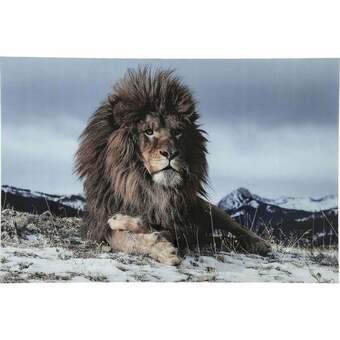 Proud lion glas galleri