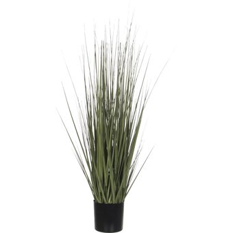Ilva Grass tilbud