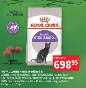 Maxi Zoo Royal caning adult sterilised 37 tilbud