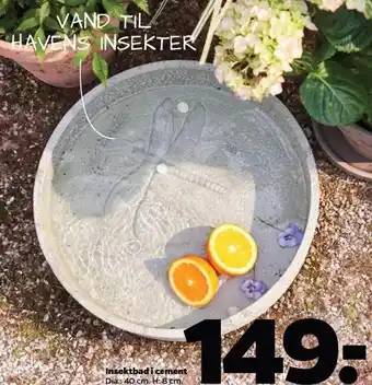 Netto Insektbad i cement tilbud