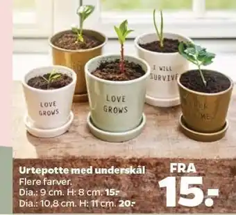 Netto Urtepotte m. underskål tilbud