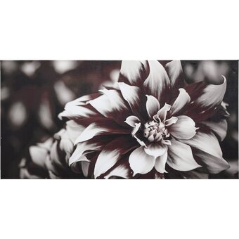 Ilva Dark flower tilbud