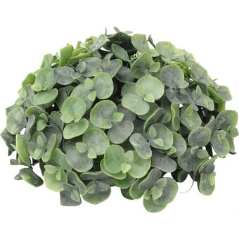 Ilva Eucalyptus tilbud
