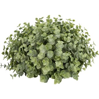 Ilva Eucalyptus tilbud