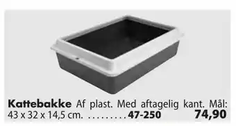 Kattebakke