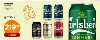 Scandinavian Park Carlsberg tilbud