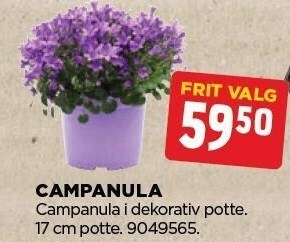 jem & fix Campanula tilbud