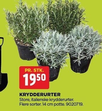 jem & fix Krydderurter tilbud