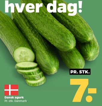 Ukendt agurk