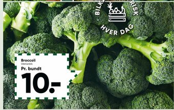 Bilka Broccoli tilbud