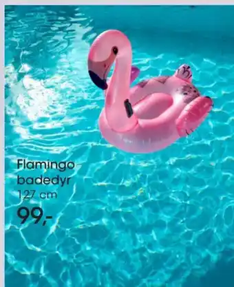 Flamingo Badedyr