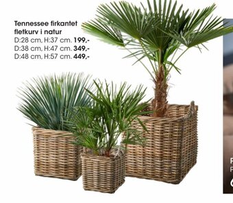 Bilka Tennessee Firkantet Fletkurv i Natur tilbud