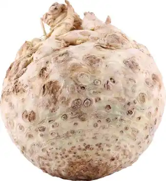REMA 1000 Danske selleri, 0.5 kg tilbud