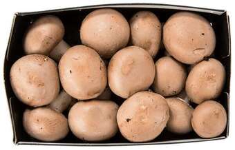 Rema 1000 Øko. champignon, 200 g tilbud
